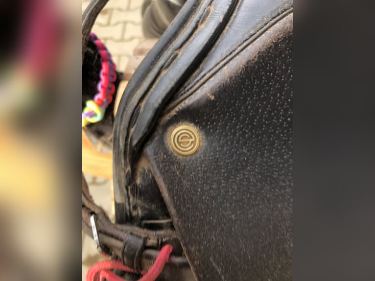 Euroriding Springsattel Euroriding Springsattel