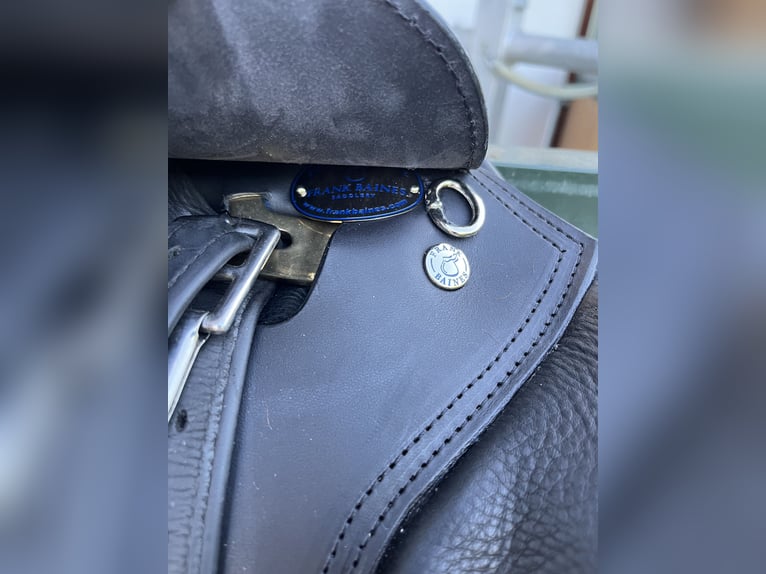 Frank Baines Edessa - Neuwertig