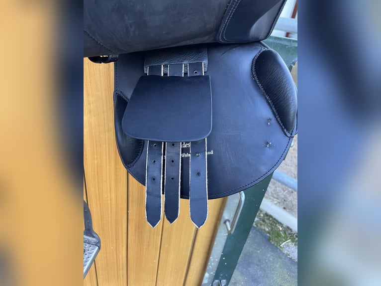 Frank Baines Edessa - Neuwertig