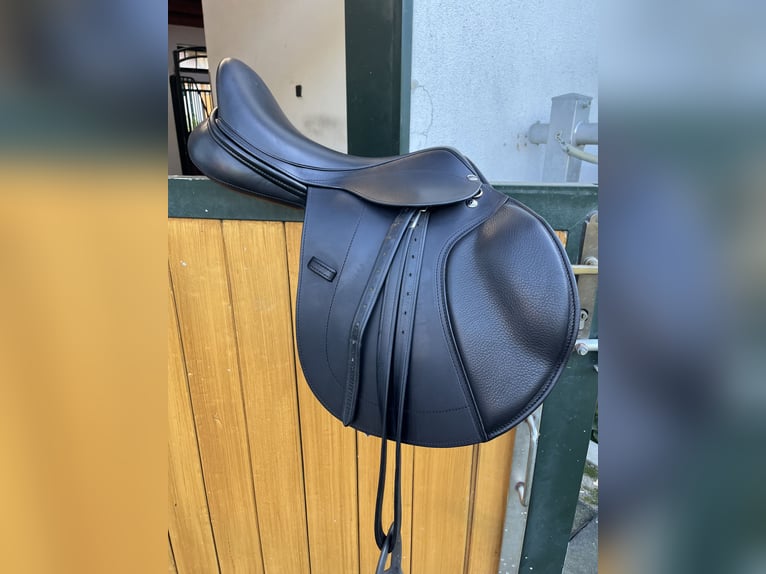 Frank Baines Edessa - Neuwertig