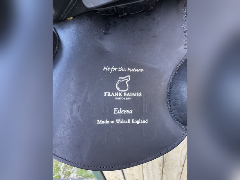 Frank Baines Edessa - Neuwertig