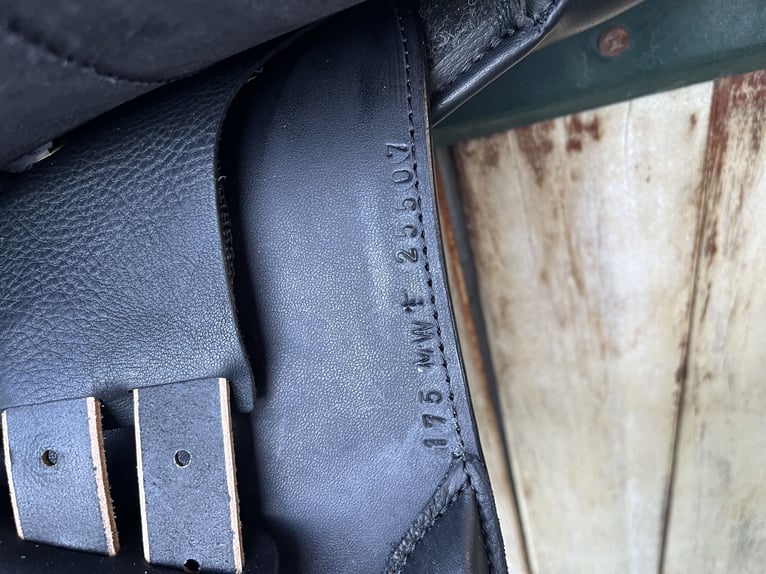 Frank Baines Edessa - Neuwertig