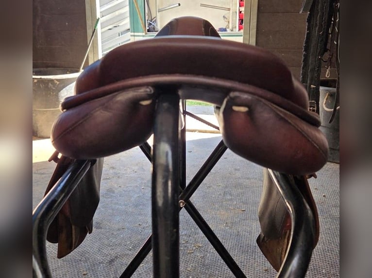 GBSsellier Springsattel