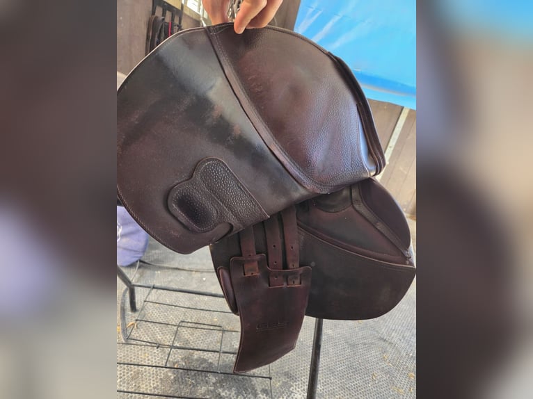 GBSsellier Springsattel