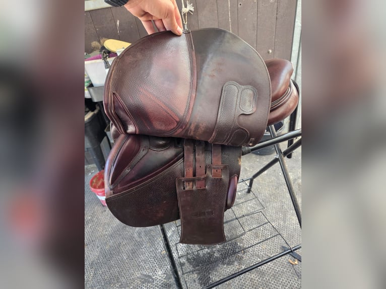 GBSsellier Springsattel