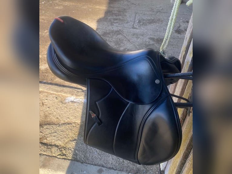 Grand Prix Equipe Sattel