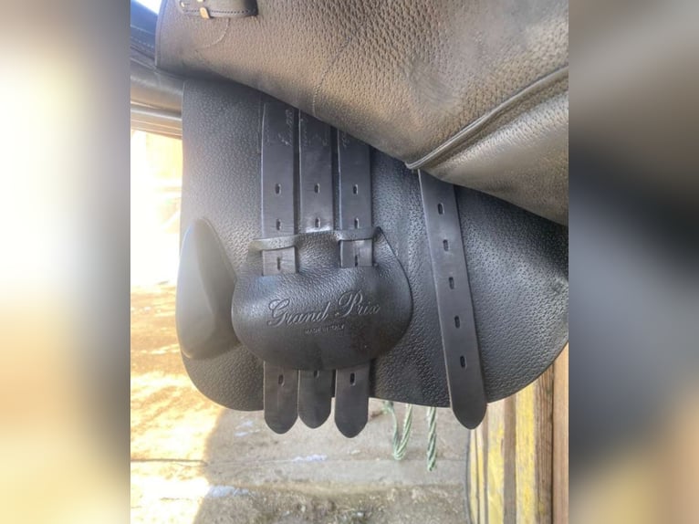 Grand Prix Equipe Sattel