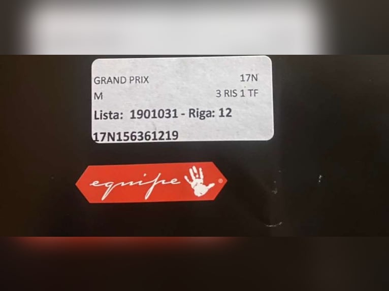 Grand Prix Equipe Sattel