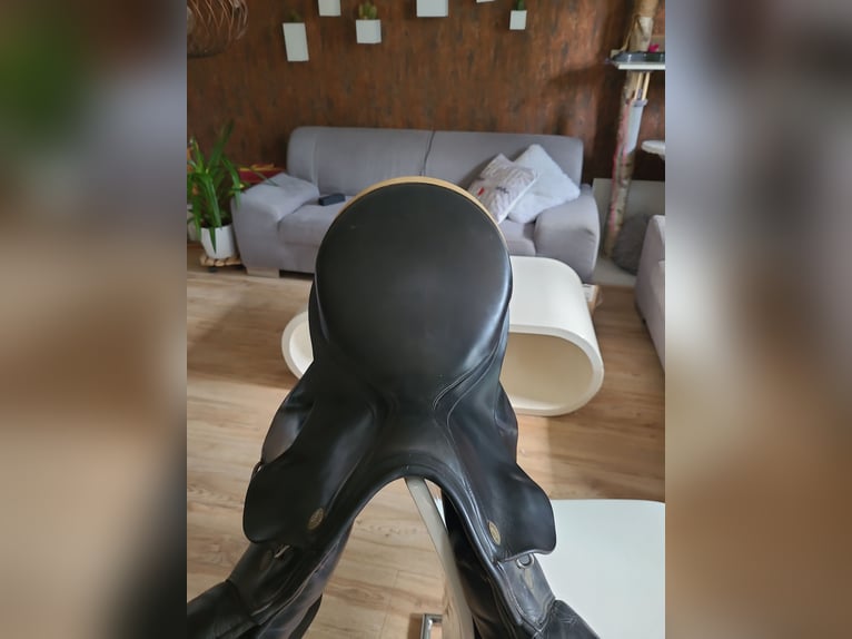 Gut gepflegter Springsattel Prestige Italia Vemezia zu verkaufen!!