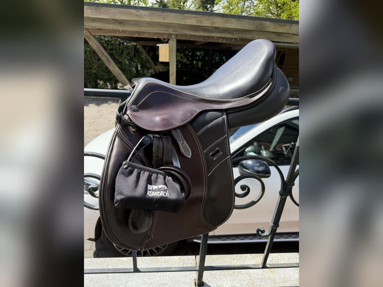 Horsestar Endeavour Braun