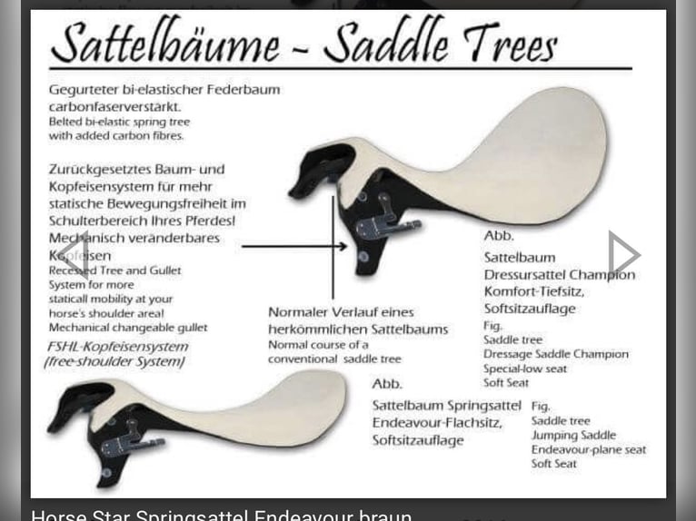 Horsestar Endeavour Braun
