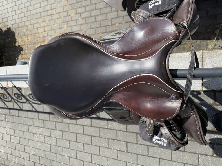 Horsestar Endeavour Braun