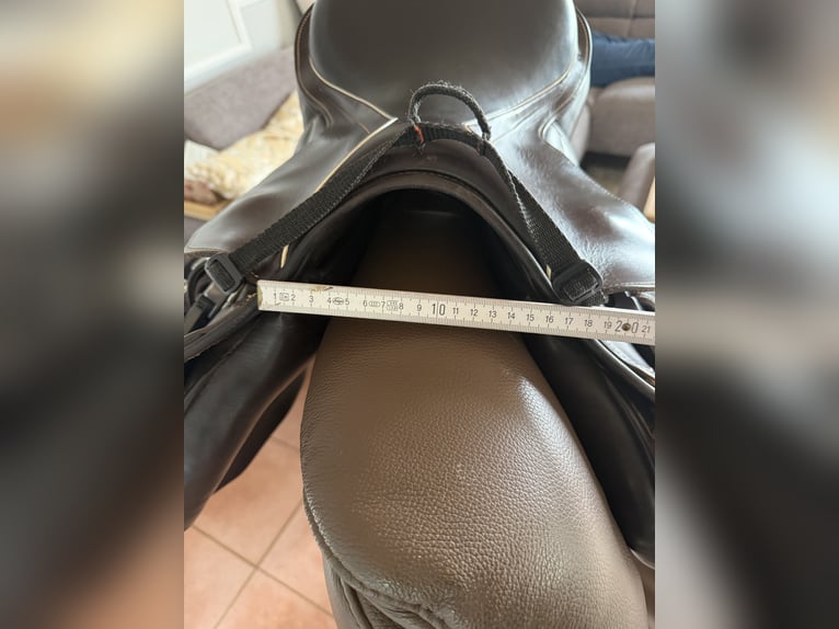 Horsestar Endeavour Braun