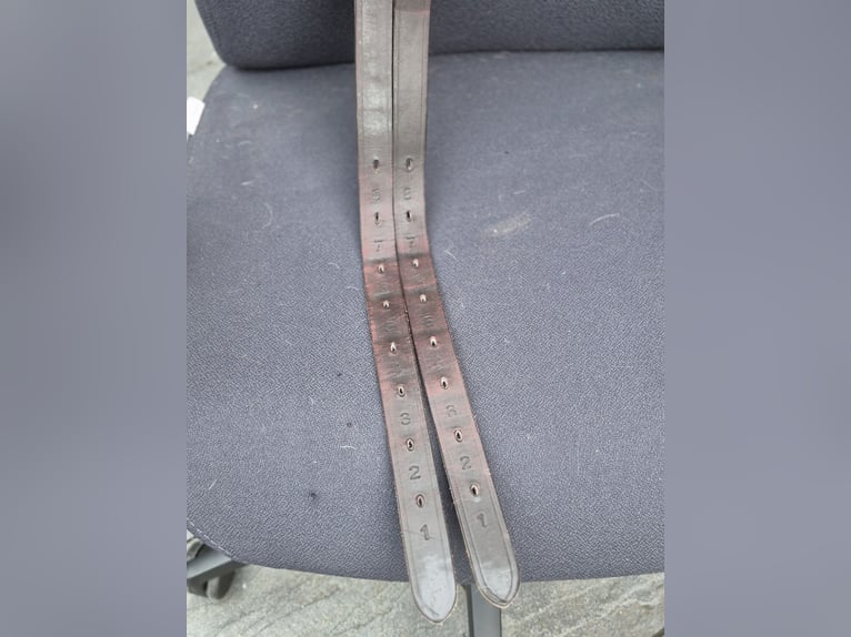 Ikonic cross pro evolution 17''