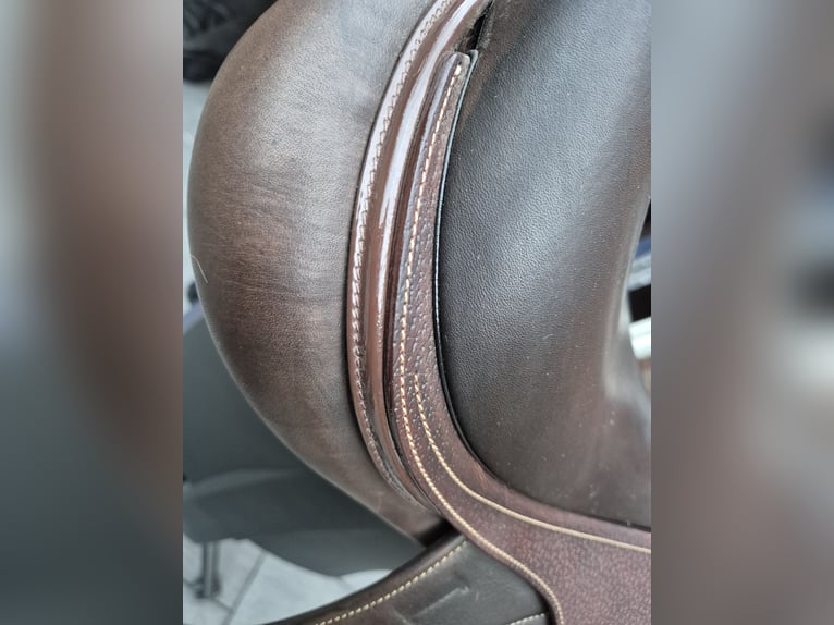 Ikonic cross pro evolution 17''