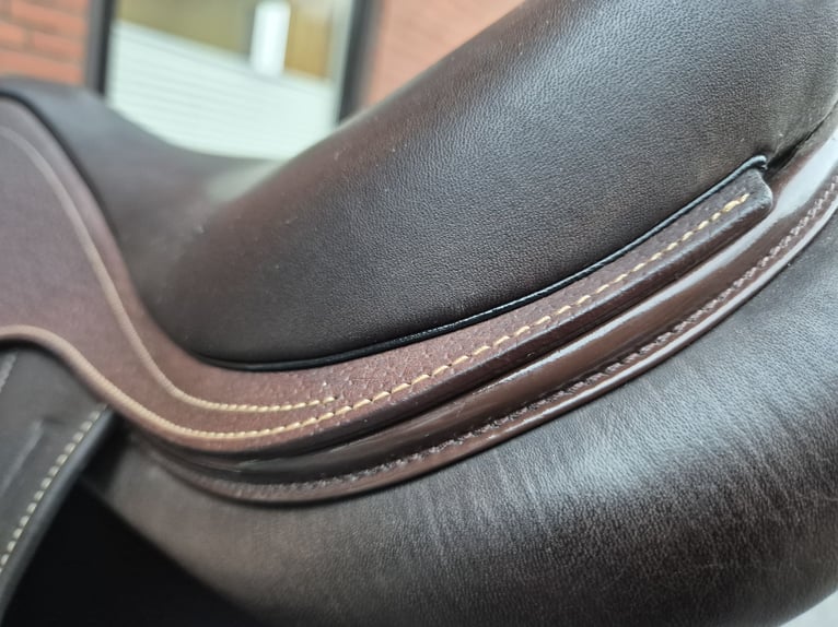 Ikonic cross pro evolution 17''