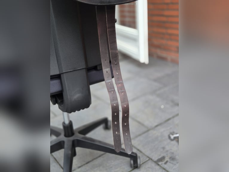 Ikonic cross pro evolution 17''