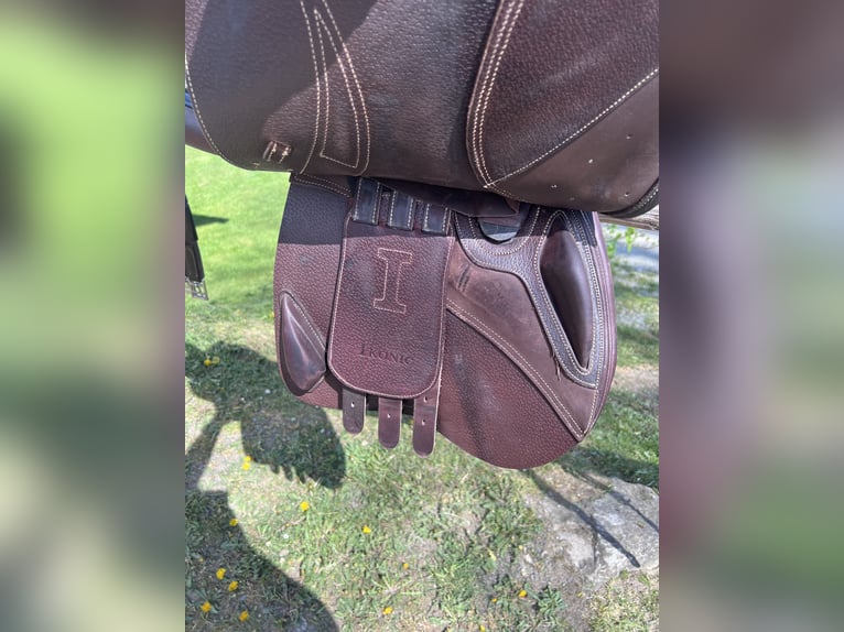 Ikonic „Elite“ Springsattel, BJ 2023