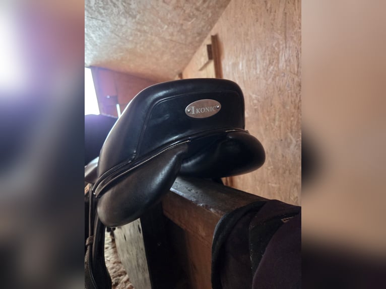 Ikonic elite Springsattel