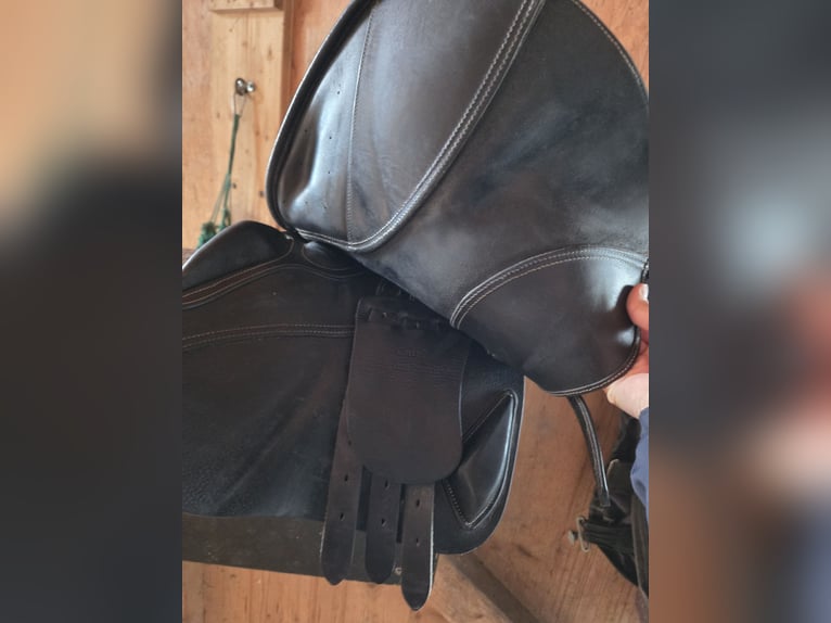 Ikonic elite Springsattel