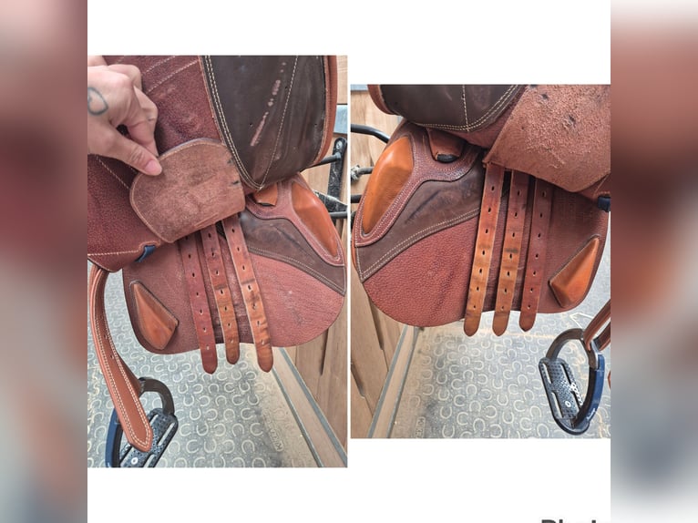 Ikonic Evolution Line Springsattel