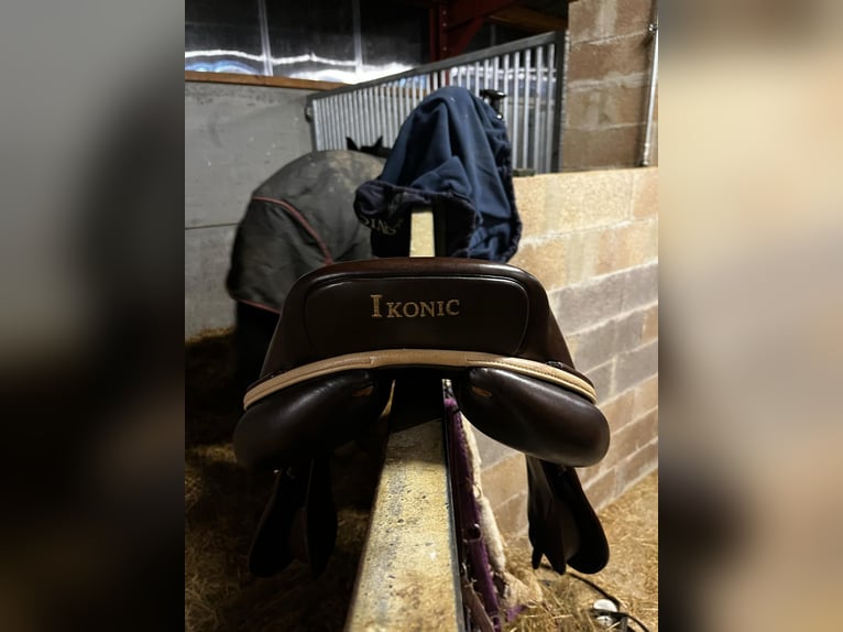 Ikonic Pro Evolution Springsattel 17,5