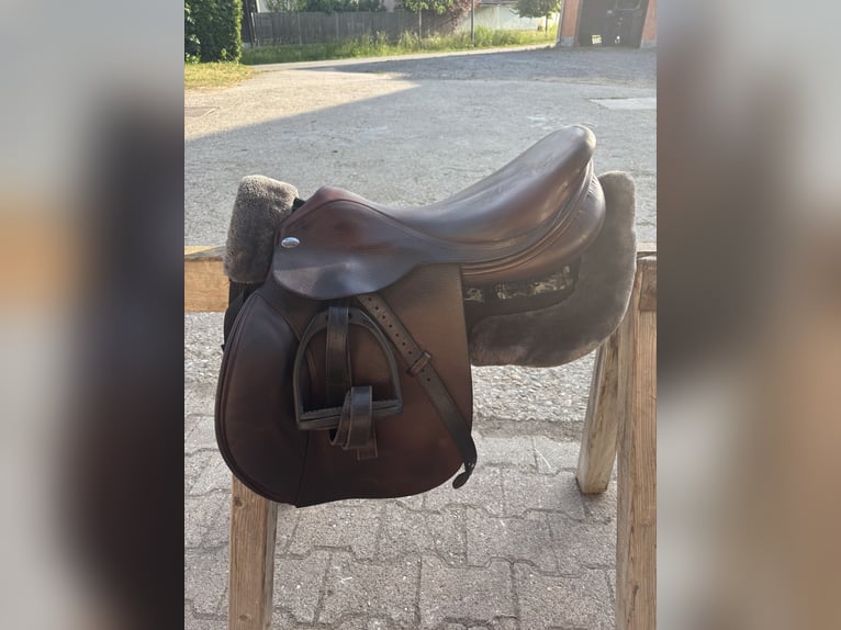 Jaguar (Harry Dabbs) 17 Zoll