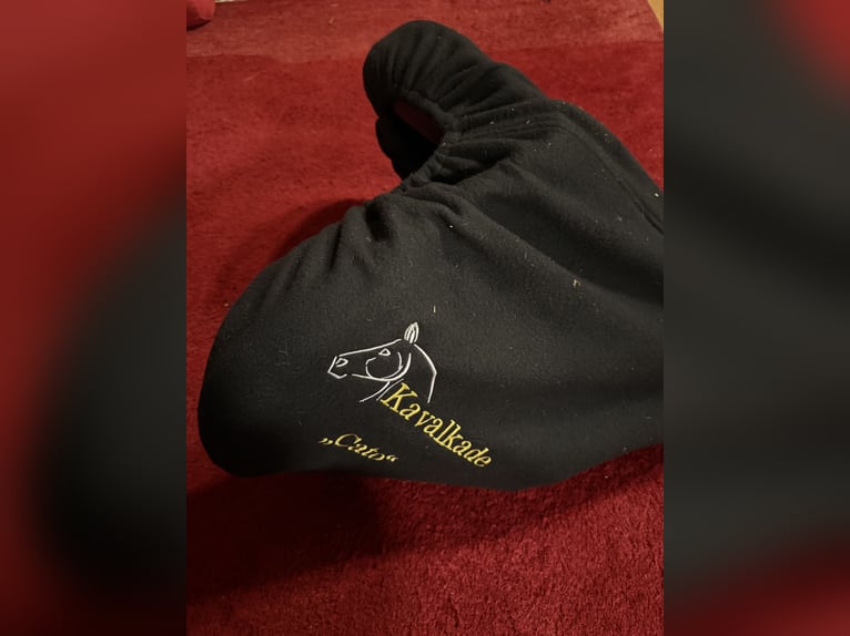 Kavalkade Springsattel Cato Braun 17Zoll