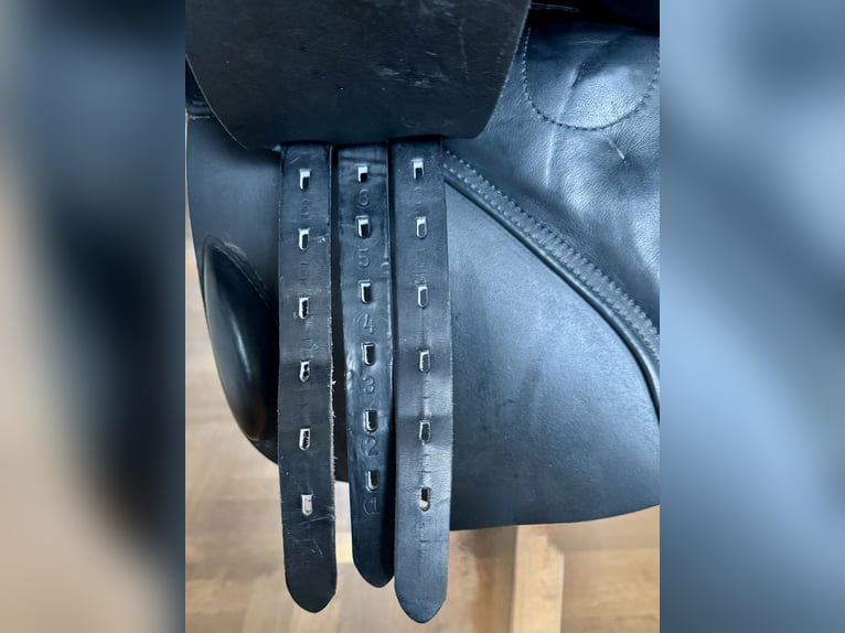 Kentaur Charon Springsattel 17,5" Neuwertig | Top Zustand!