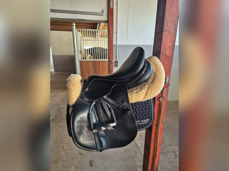 Kentaur Mithras 17.5 Zoll