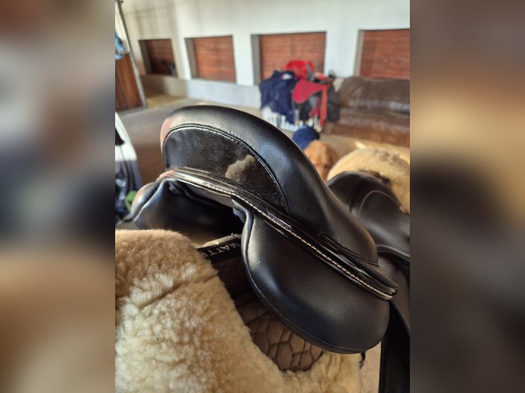 Kentaur Mithras 17.5 Zoll