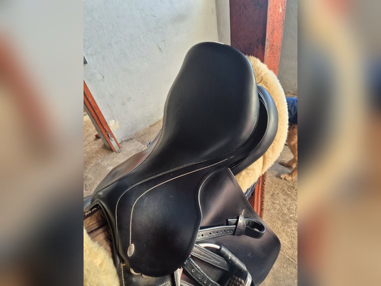 Kentaur Mithras 17.5 Zoll