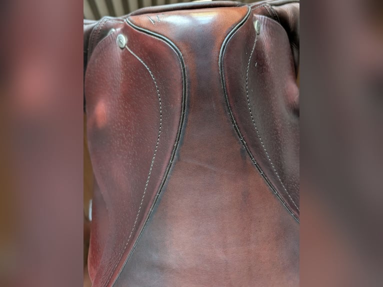 Kentaur Springsattel 17,5 kronos