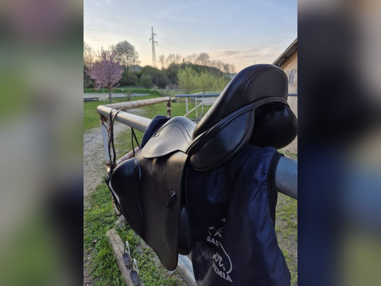 Kentaur Springsattel Charon