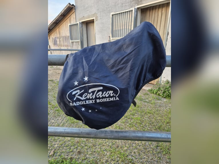 Kentaur Springsattel Charon