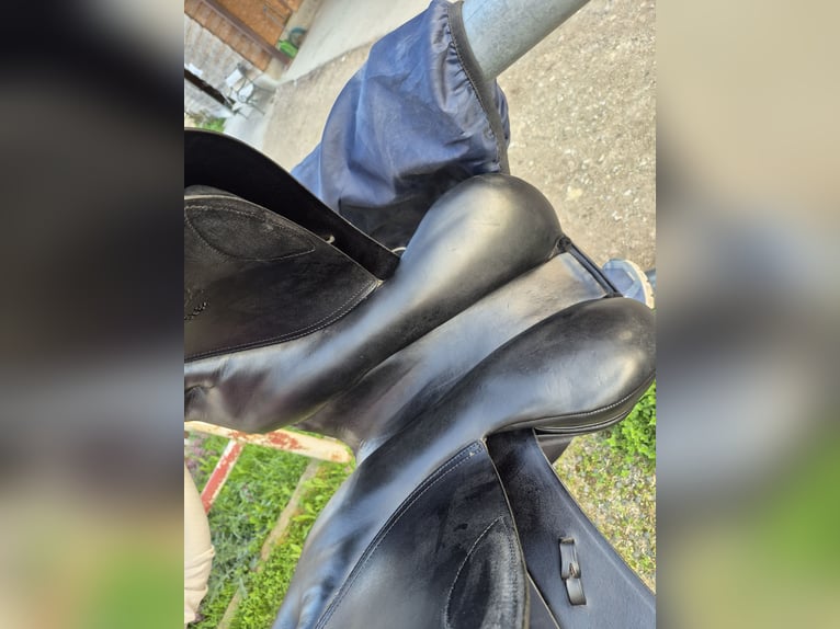 Kentaur Springsattel Charon