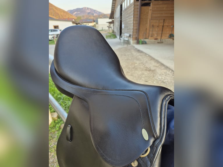 Kentaur Springsattel Charon