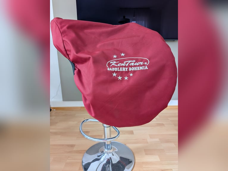 Kentaur Titan III Springsattel Carbon