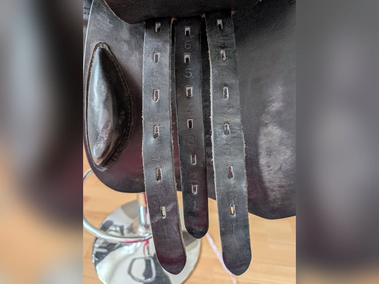 Kentaur Titan III Springsattel Carbon