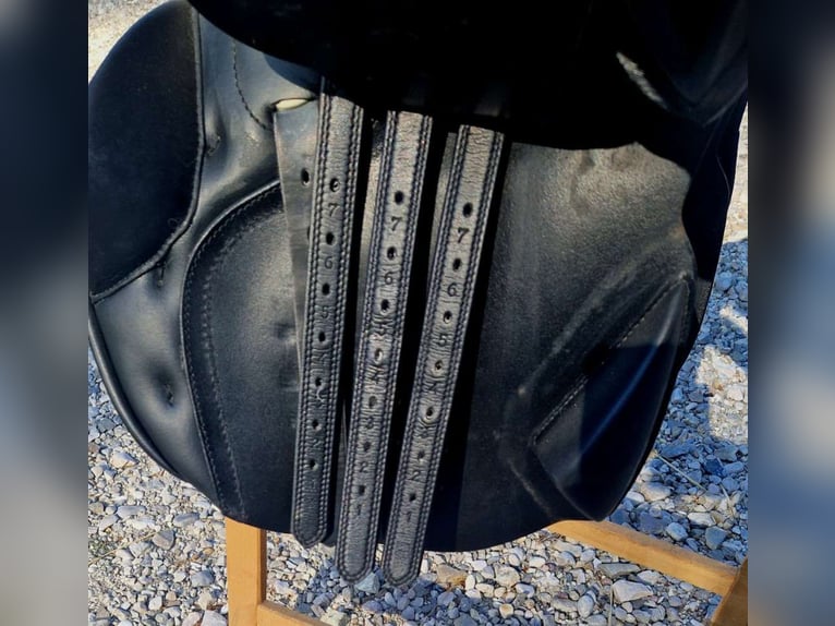 Kieffer Norbert Koof Springsattel Kieffer Norbert Koof Springsattel