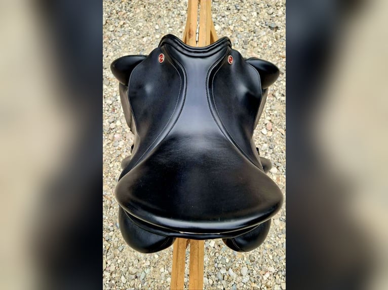 Kieffer Norbert Koof Springsattel Kieffer Norbert Koof Springsattel