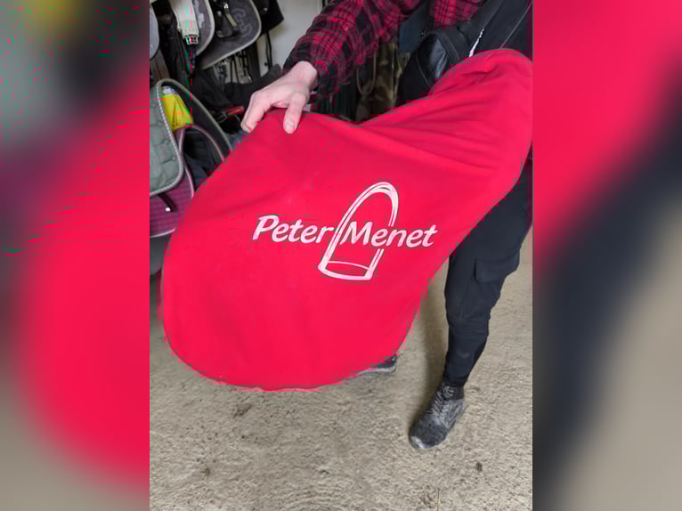 La belle springsattel 17,5 zoll