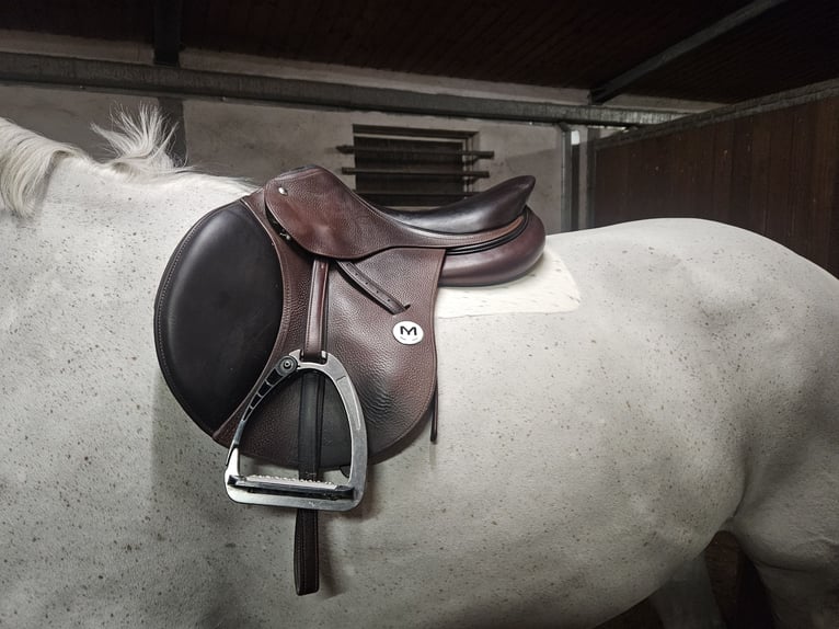 Meyer Sellerie Springsattel (ähnlich CWD /Amerigo)
