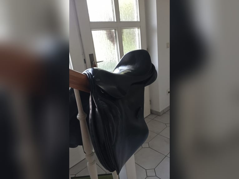 Neuer Euroriding Luxor Sattel zu verkaufen 