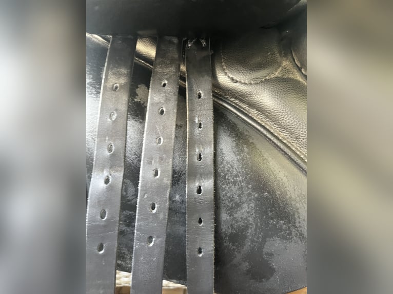 Neuwertiger Stübben Virginia S Springsattel 17 Zoll  Neuwertiger Stübben Virginia S Springsattel 17 Zoll