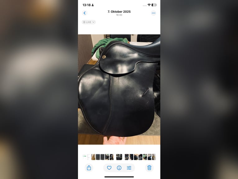 Nur heute Sommer Esprit springsattel 17