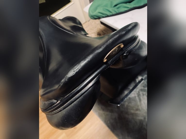 Nur heute Sommer Esprit springsattel 17