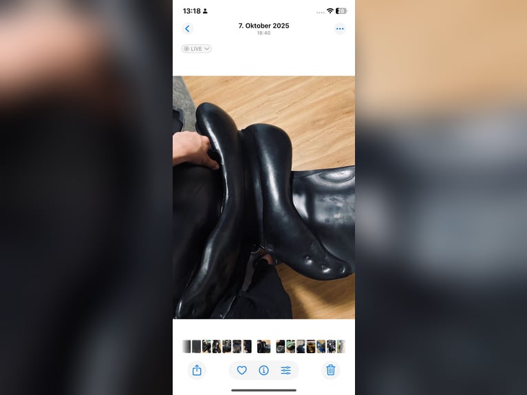 Nur heute Sommer Esprit springsattel 17