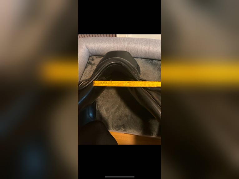 Nur heute Sommer Esprit springsattel 17