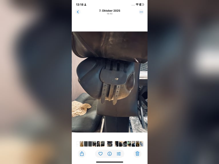 Nur heute Sommer Esprit springsattel 17